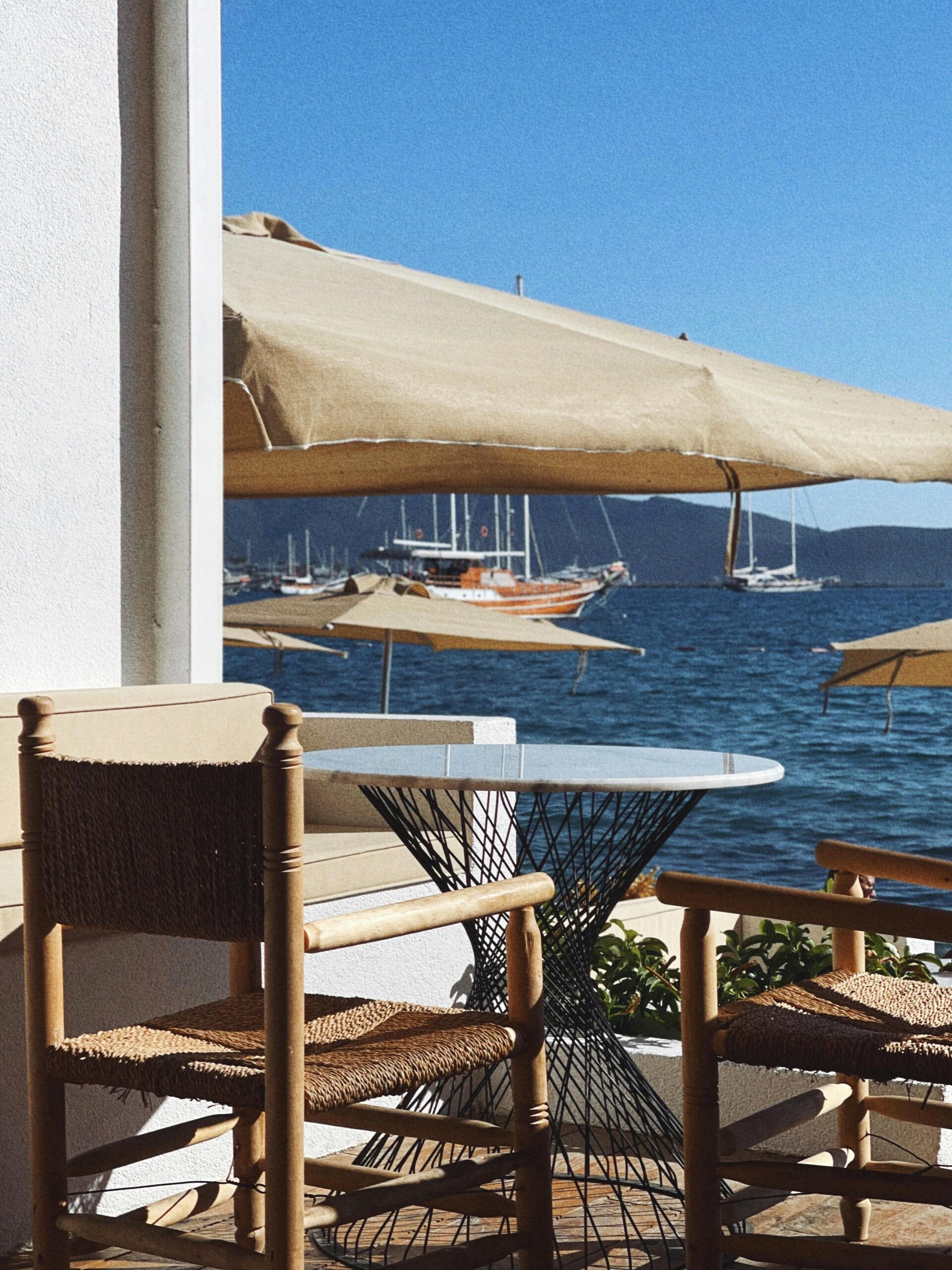 pexels sude akpinar 48866908 13717772